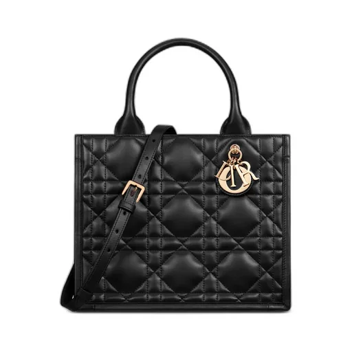 Small Dior Book Tote