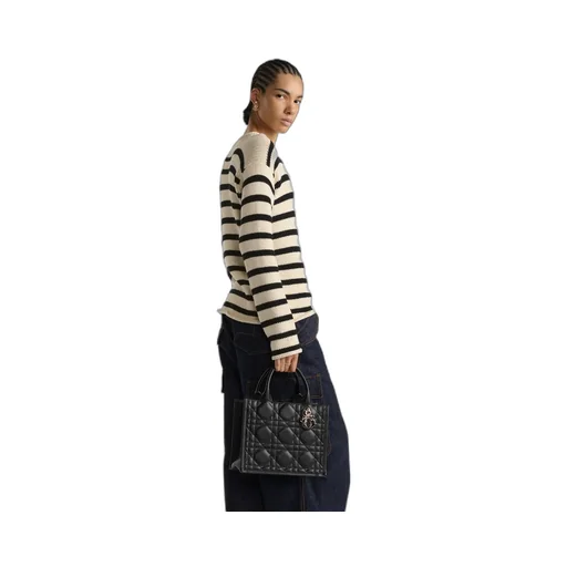 Small Dior Book Tote