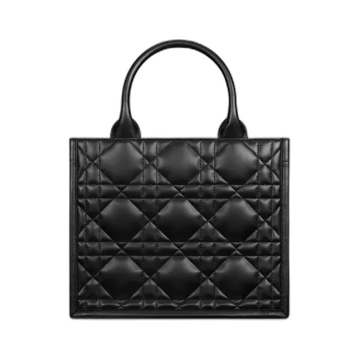 Small Dior Book Tote