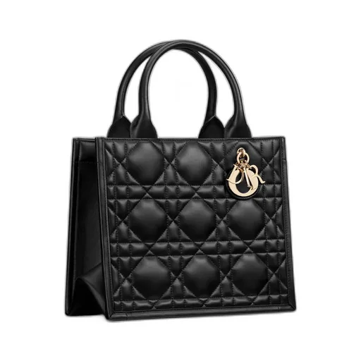 Small Dior Book Tote