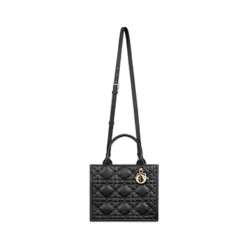 Small Dior Book Tote