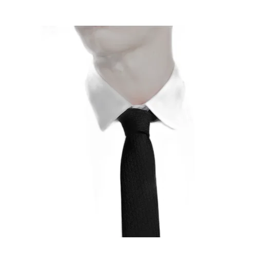 Dior Oblique Tie