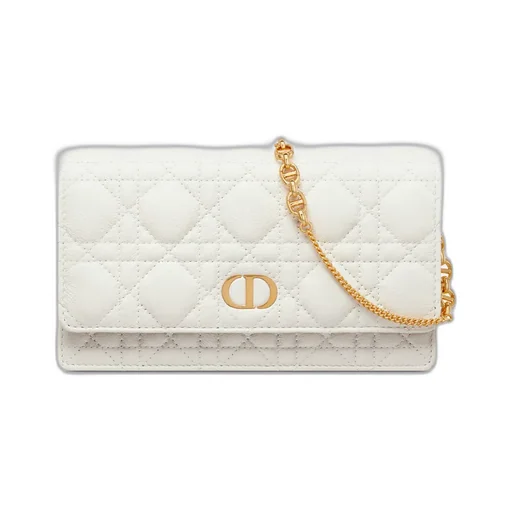 Dior Caro Pouch With Chain