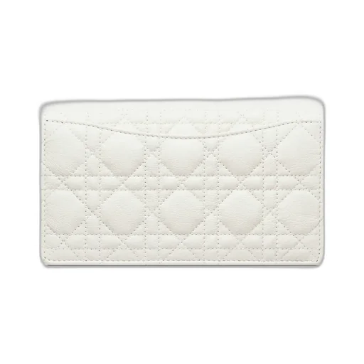 Dior Caro Pouch With Chain