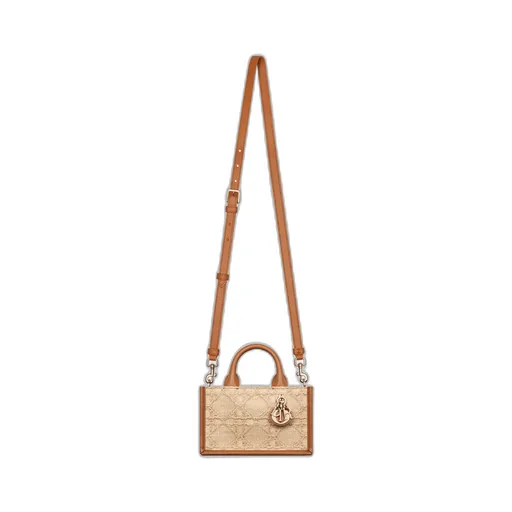 Mini Dior Book Tote