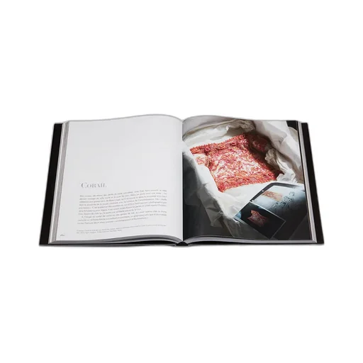 Book: Dior By Yves Saint Laurent