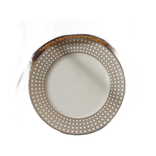 Dinner Plate