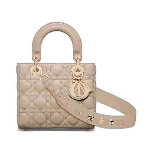 Small Lady Dior My Abcdior Bag