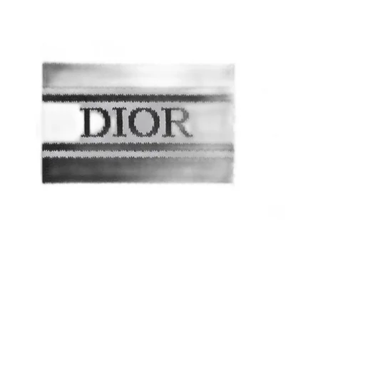 Dior Socks