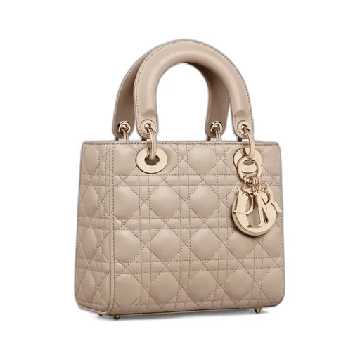 Small Lady Dior My Abcdior Bag