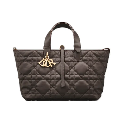 Medium Dior Toujours Bag