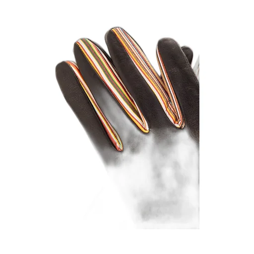 Paul Smith Signature Stripe Gloves