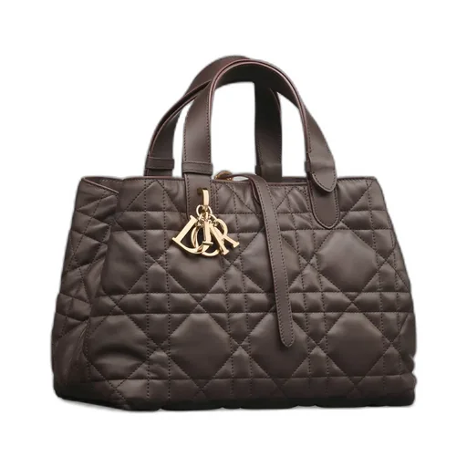 Medium Dior Toujours Bag