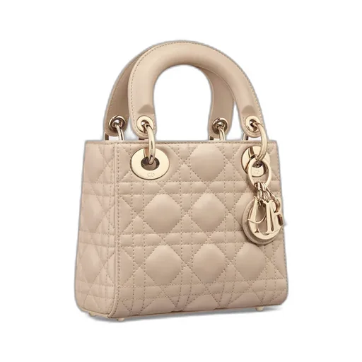 Mini Lady Dior Bag