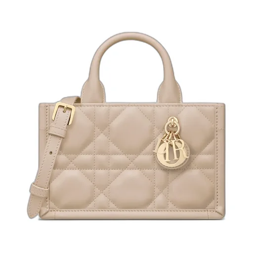Mini Dior Book Tote