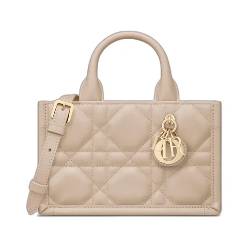 Mini Dior Book Tote