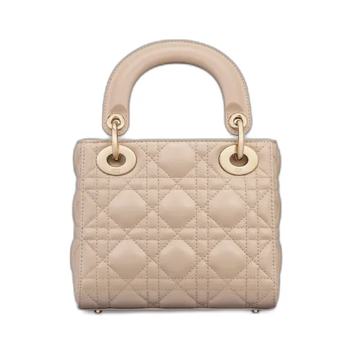 Mini Lady Dior Bag