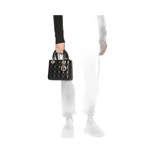 Small Lady Dior My Abcdior Bag