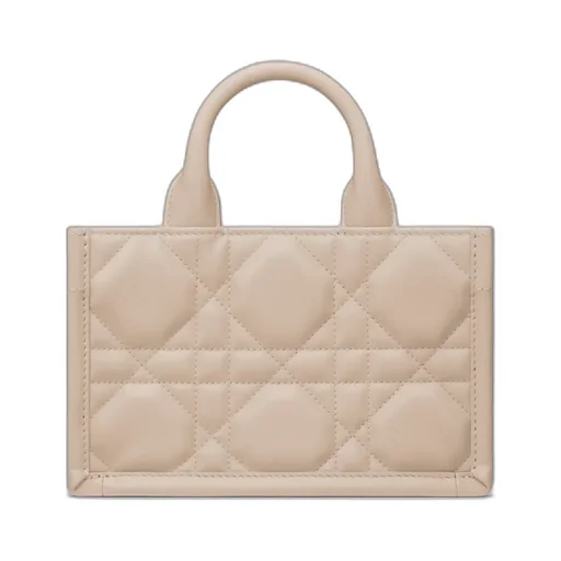 Mini Dior Book Tote