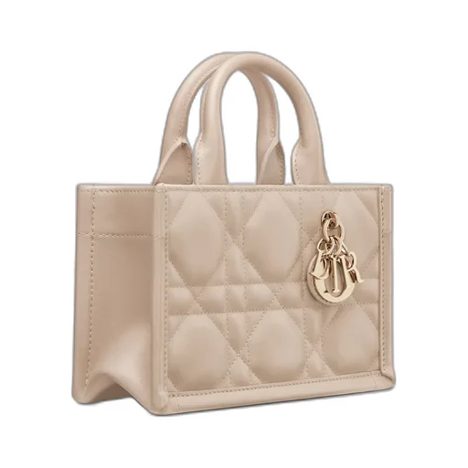 Mini Dior Book Tote