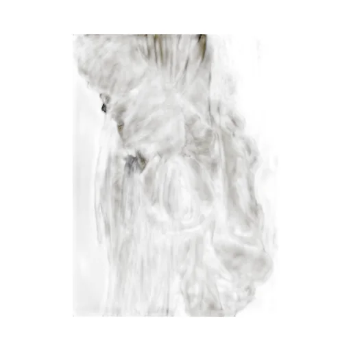 Paula Canovas Del Vas Draped Hooded Parka