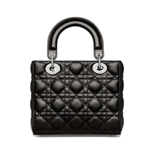 Small Lady Dior My Abcdior Bag
