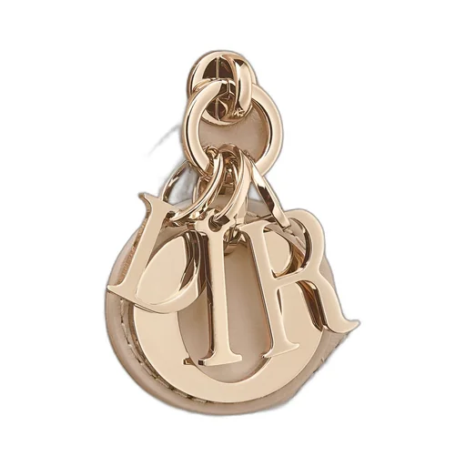 Mini Dior Book Tote