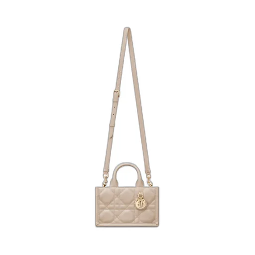 Mini Dior Book Tote