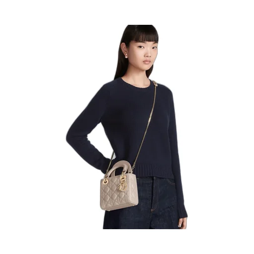 Mini Lady Dior Bag