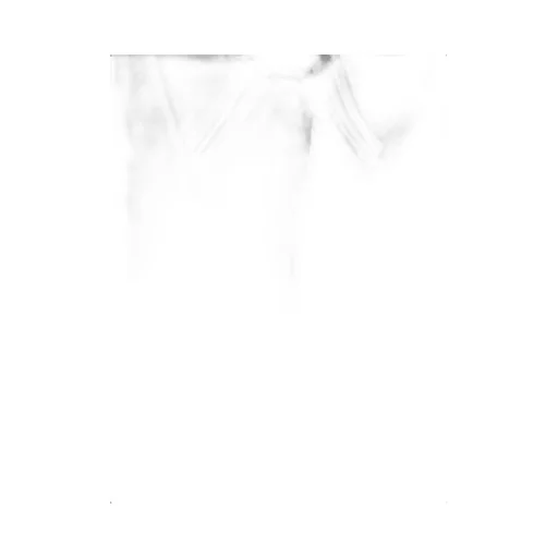 Peserico Hidden Button Poplin Shirt