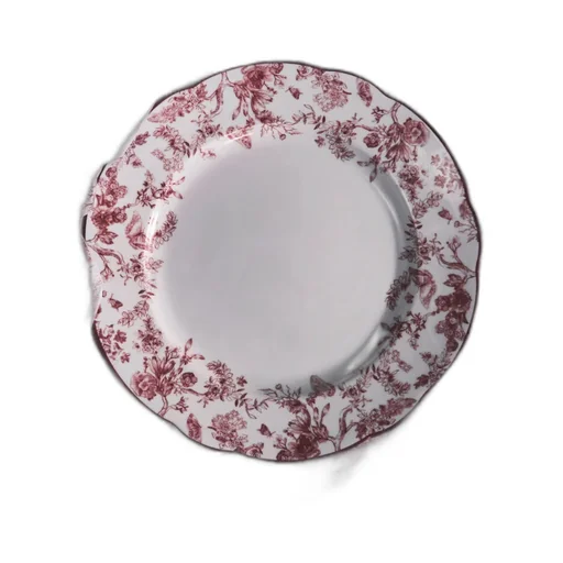 Dinner Plate