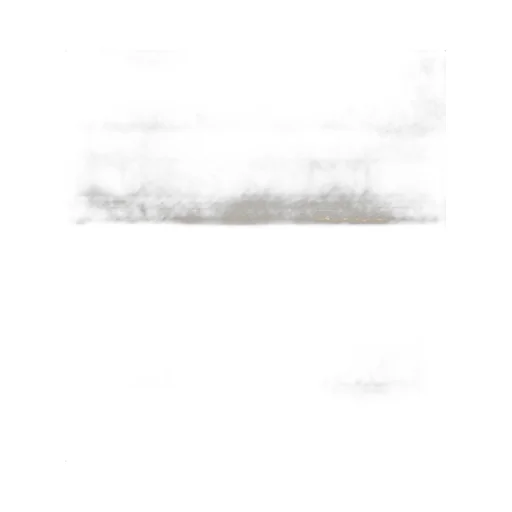 Dior Oblique Scarf