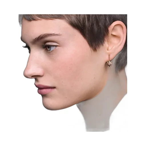 ÉToile Des Vents Single Earring