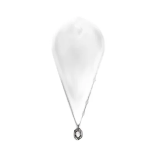 Dior Contrast Pendant Necklace