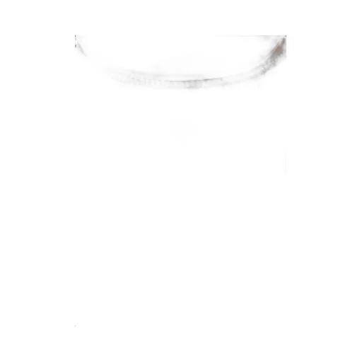 Peserico Sleeveless Crewneck Top