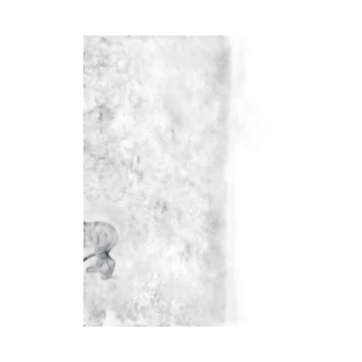 Decorative Wall Mural