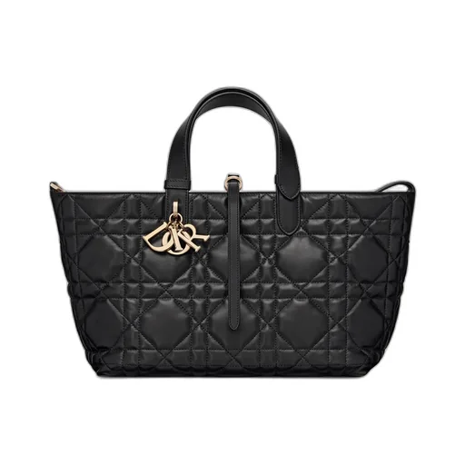 Medium Dior Toujours Bag