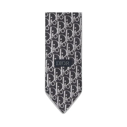 Striped Dior Oblique Tie