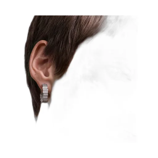 Gem Dior Earrings