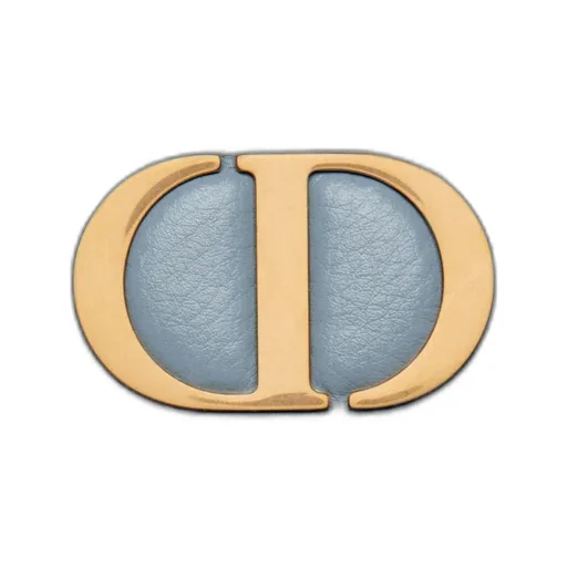 Large Dior Caro Daily Pouch