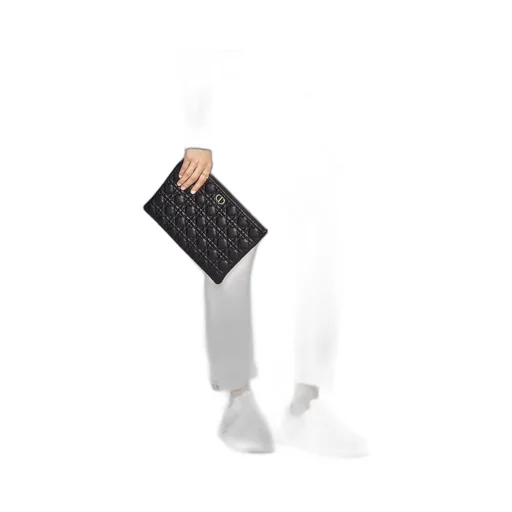 Large Dior Caro Daily Pouch