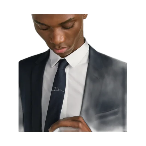 Dior Ribbon Tie