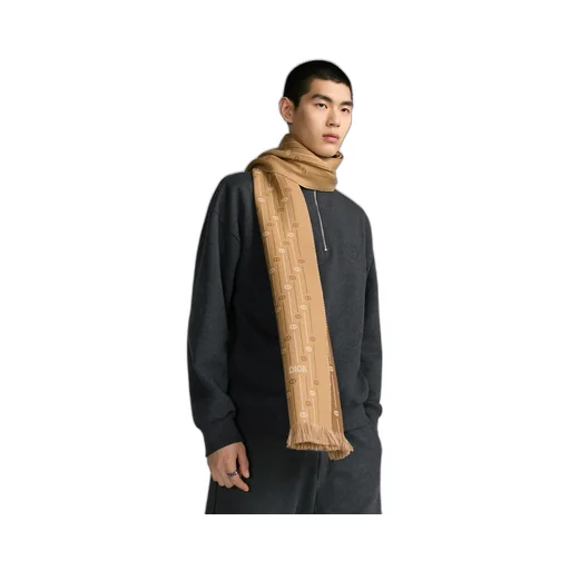 Cd Icon Striped Scarf