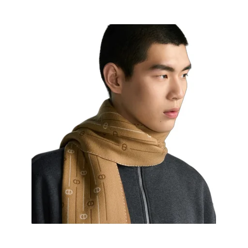 Cd Icon Striped Scarf