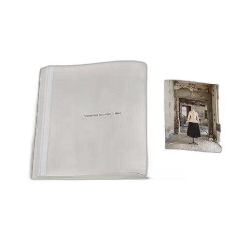 Book: Dior Metamorphosis