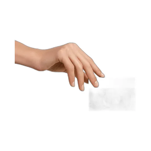 30 Montaigne Freesia Card Holder