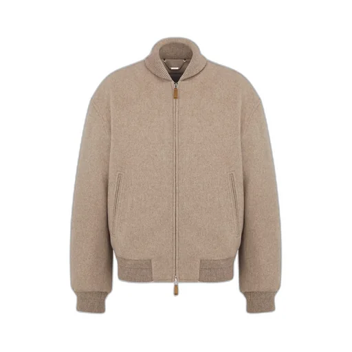 Dior Icons Bomber Jacket