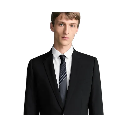 Striped Dior Oblique Tie