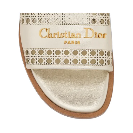 Dior Or D-Lane Slide