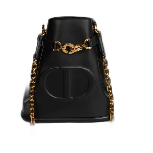 Medium C'est Dior Bag